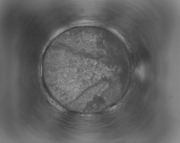 X0000073981413200609111756