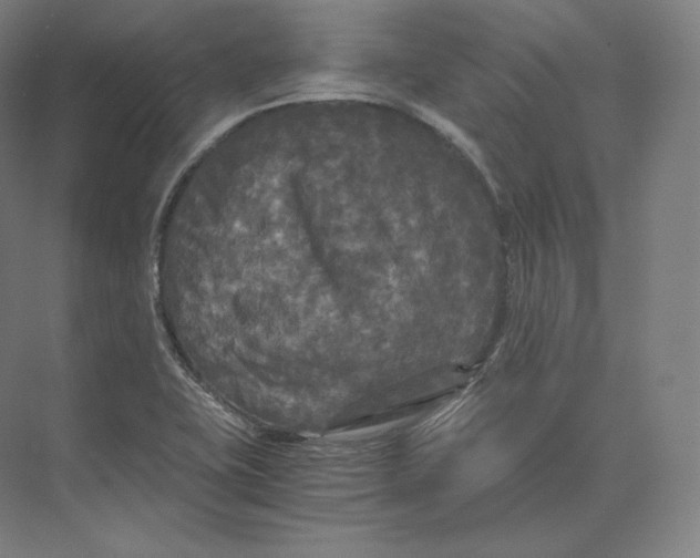 X0000073981415200609111756