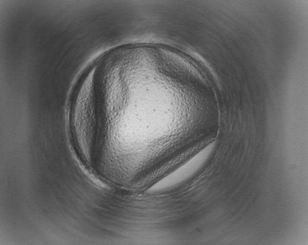 X0000073981416200609111756