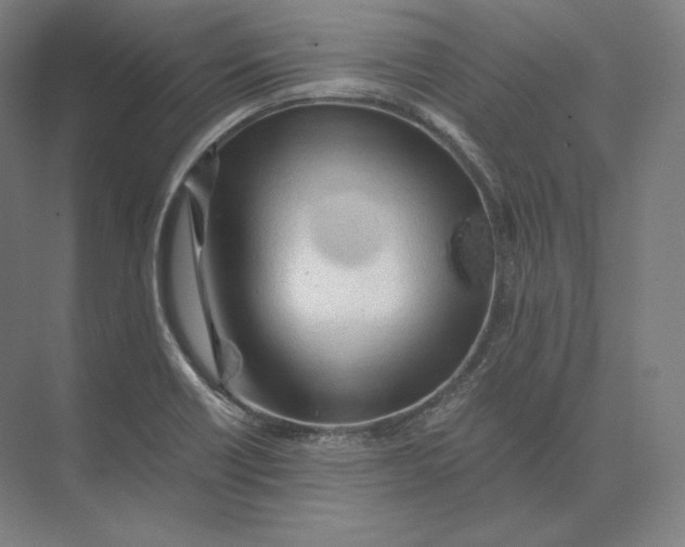 X0000073981418200609111756