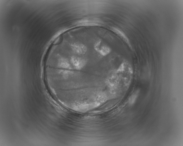 X0000073981419200609111756