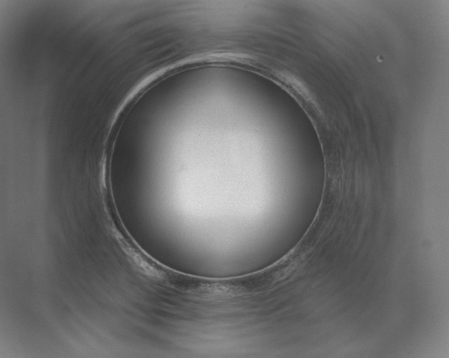 X0000073981420200609111756