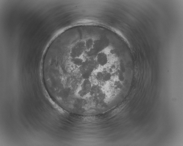 X0000073981421200609111756