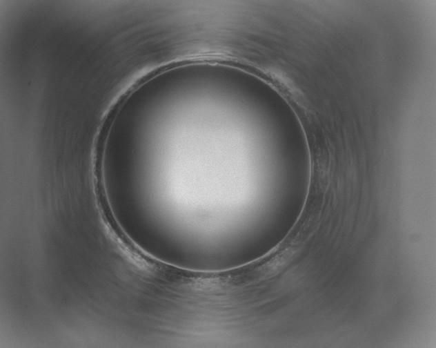 X0000073981422200609111756