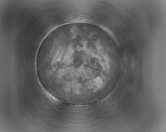 X0000073981423200609111756