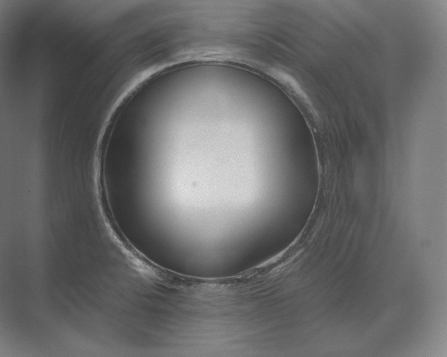 X0000073981424200609111756