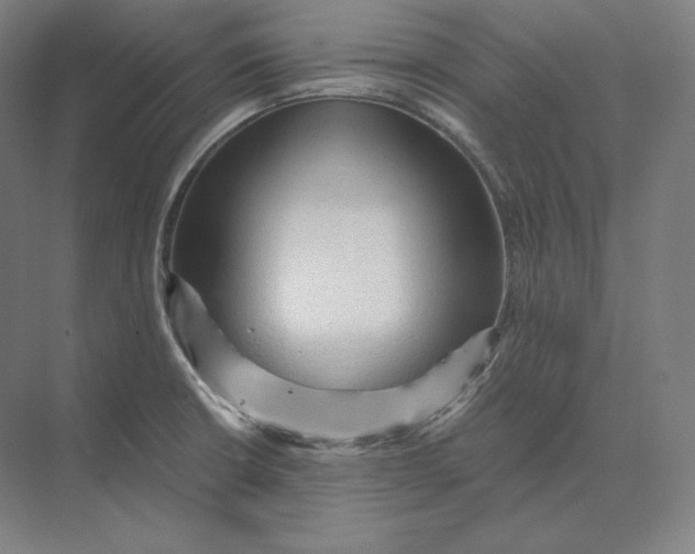 X0000073981426200609111756