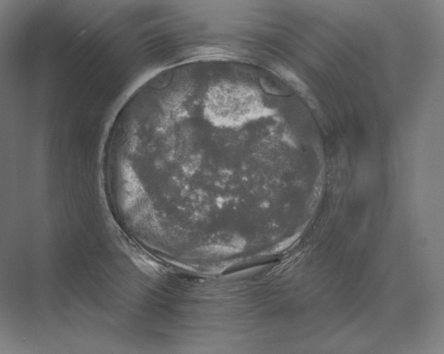 X0000073981427200609111756