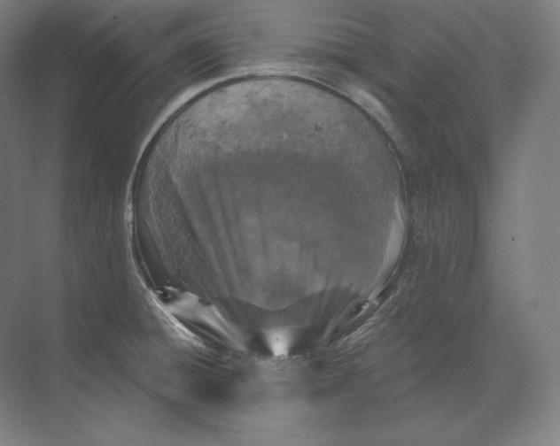 X0000073981428200609111756