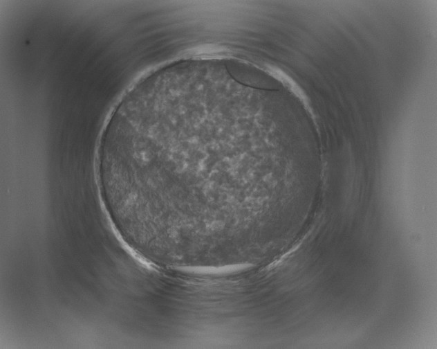 X0000073981429200609111756