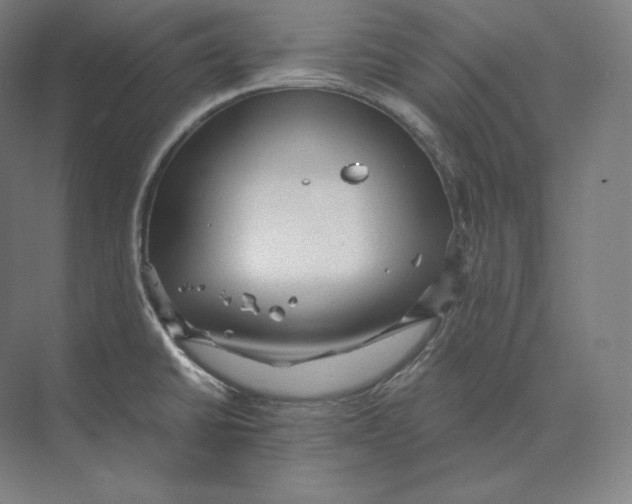 X0000073981430200609111756