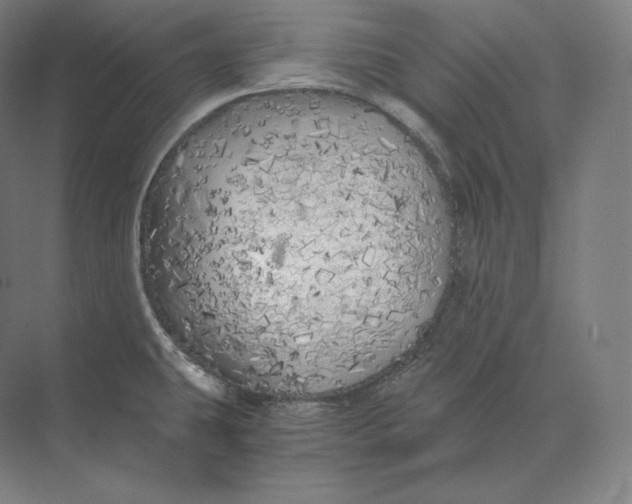 X0000073981431200609111756