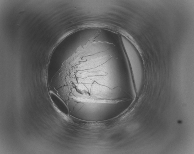 X0000073981433200609111756