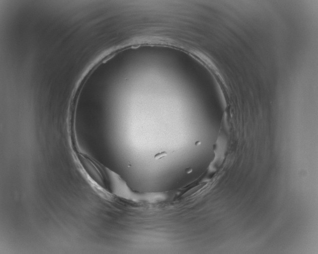 X0000073981438200609111756