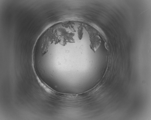 X0000073981439200609111756