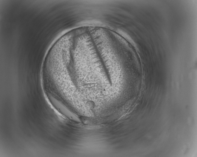 X0000073981440200609111756