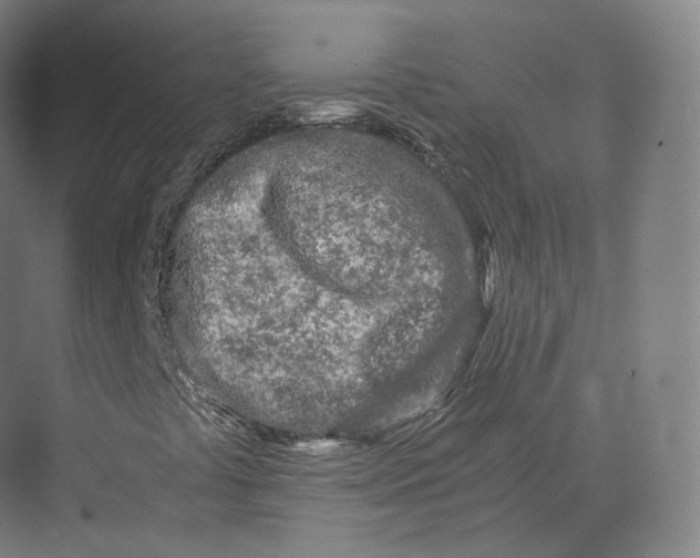 X0000073981441200609111755