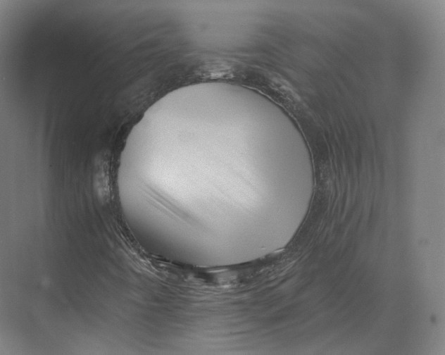 X0000073981442200609111755