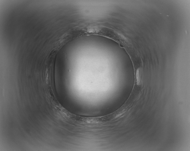 X0000073981443200609111755