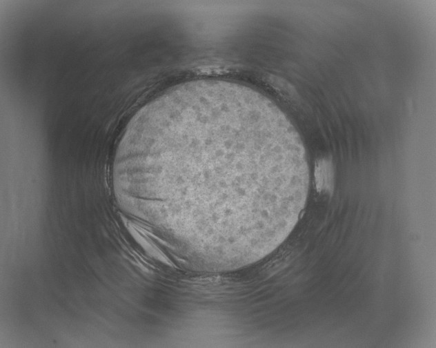 X0000073981444200609111755