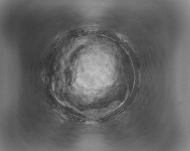 X0000073981445200609111755