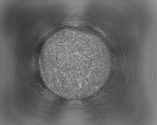 X0000073981446200609111755