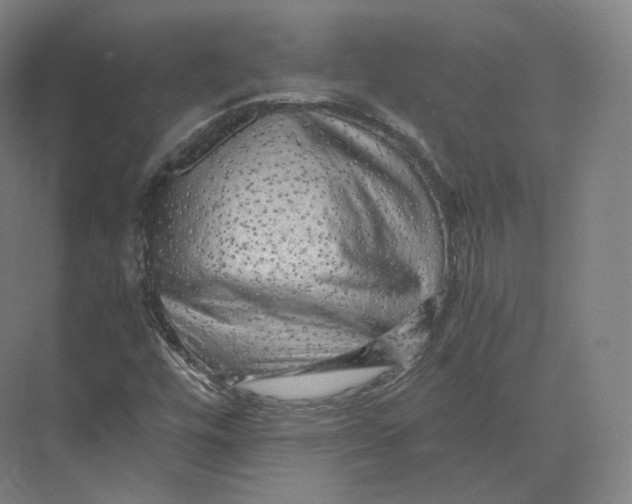 X0000073981448200609111755