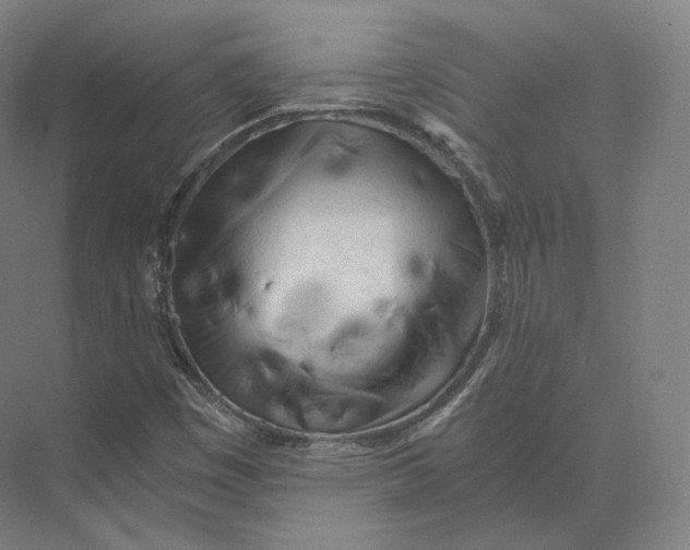 X0000073981449200609111755