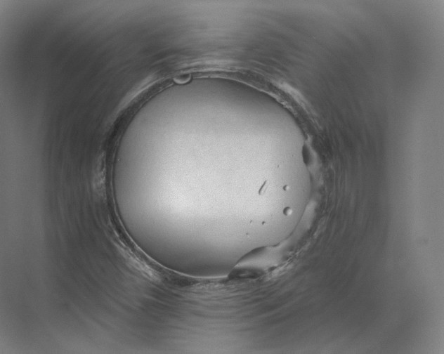 X0000073981450200609111755