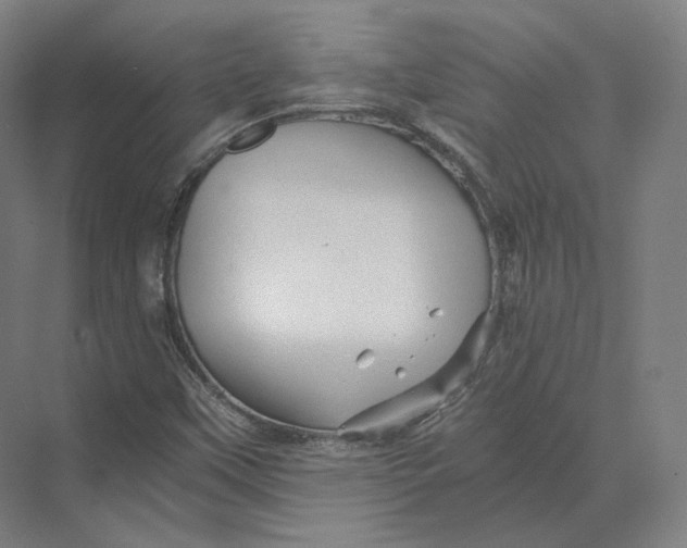 X0000073981451200609111755