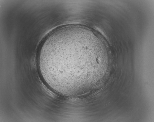 X0000073981452200609111755