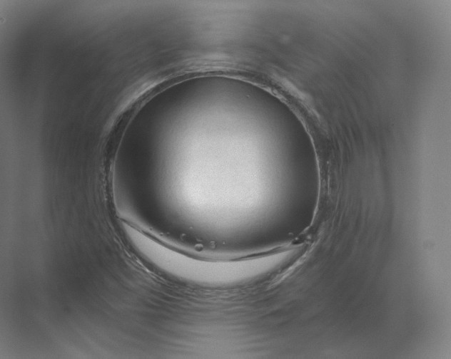 X0000073981453200609111755