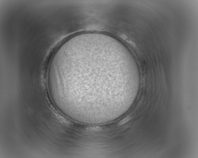 X0000073981454200609111755