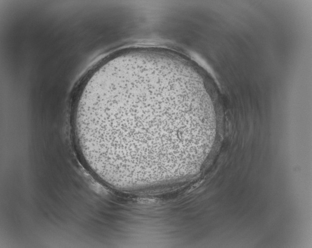 X0000073981456200609111755