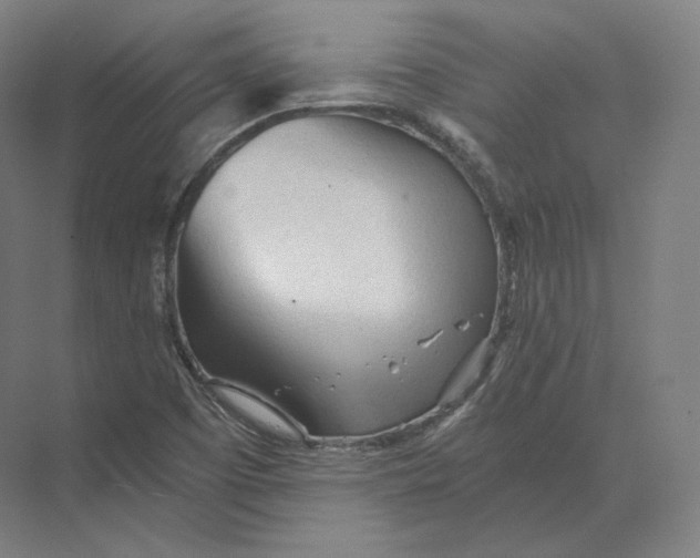 X0000073981457200609111755