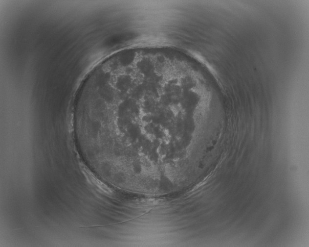 X0000073981459200609111755