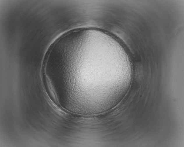 X0000073981460200609111755