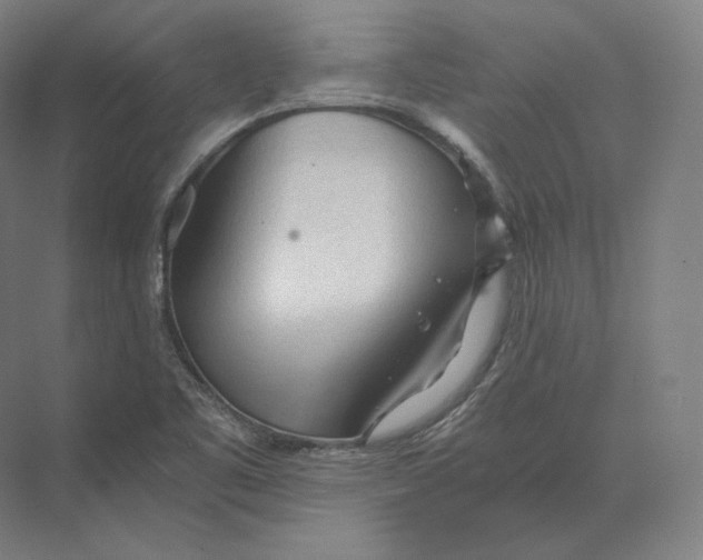 X0000073981461200609111755