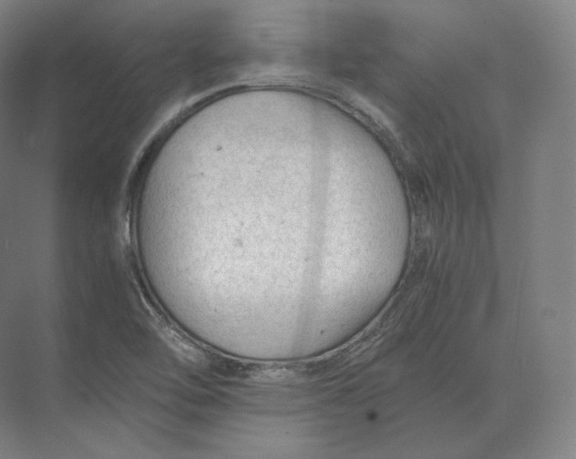 X0000073981462200609111755