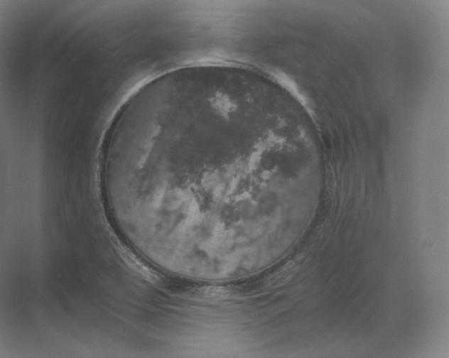 X0000073981463200609111755