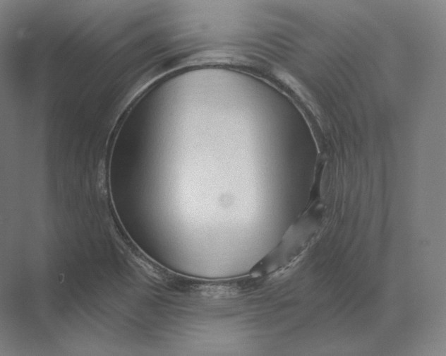 X0000073981465200609111755