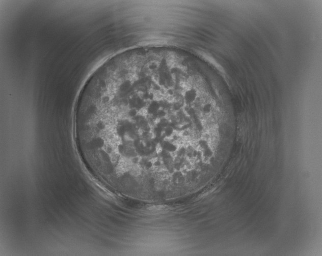 X0000073981467200609111755