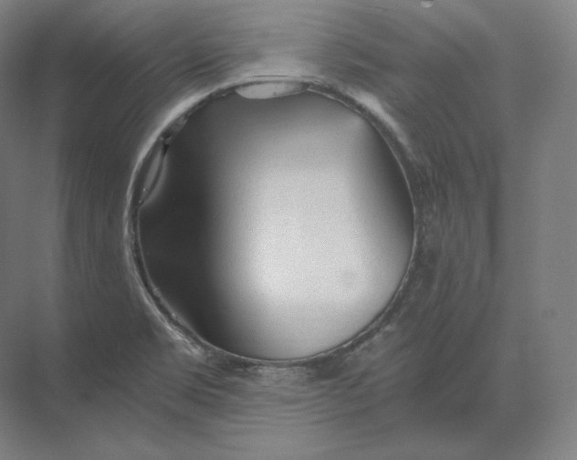 X0000073981469200609111755