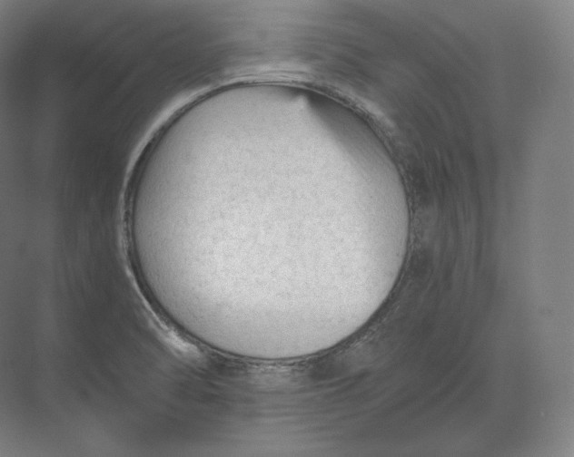 X0000073981470200609111755