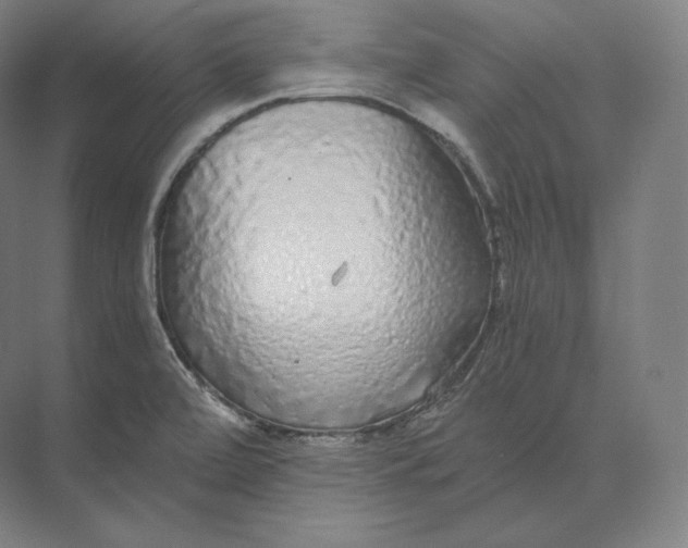 X0000073981472200609111755