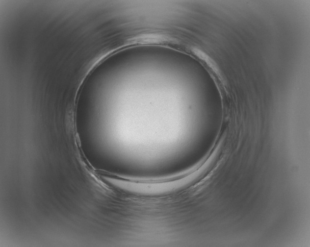 X0000073981473200609111755