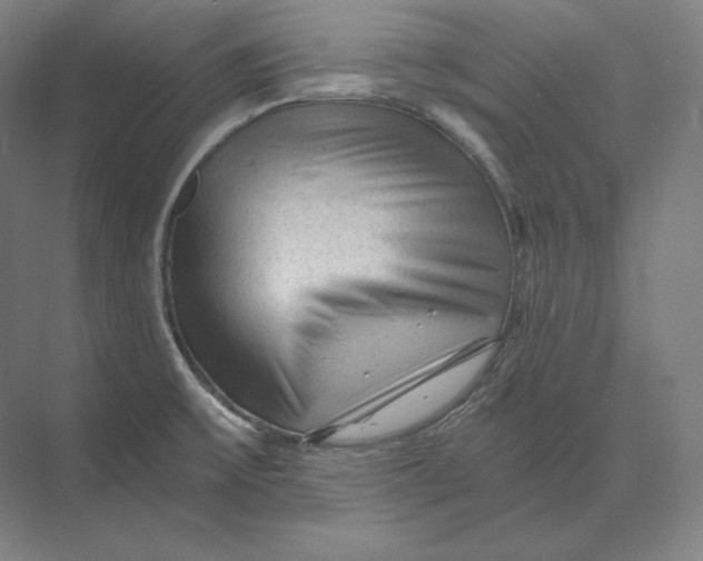 X0000073981475200609111755