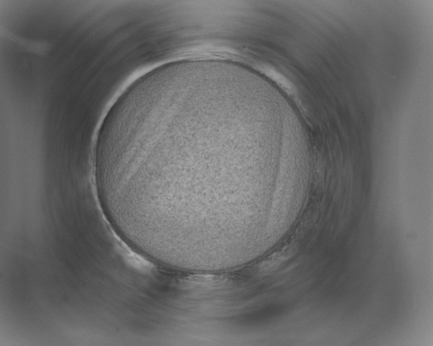 X0000073981478200609111755