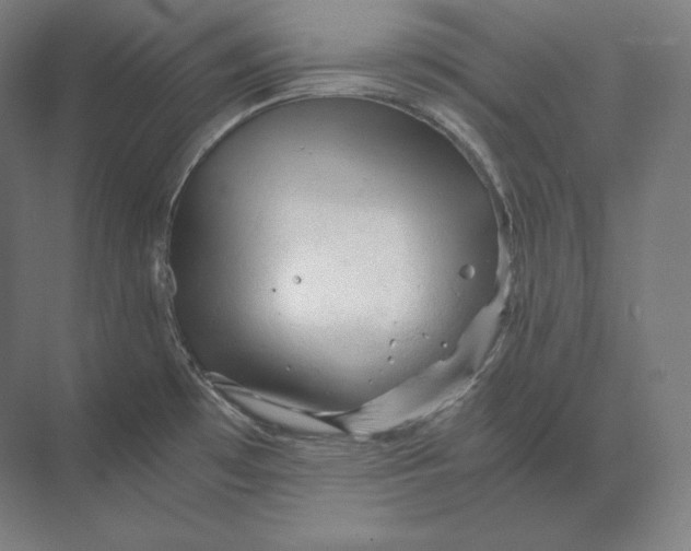 X0000073981481200609111755