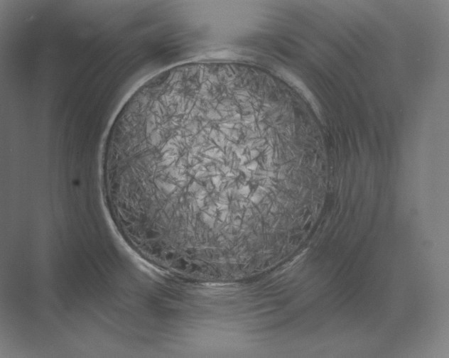 X0000073981483200609111755